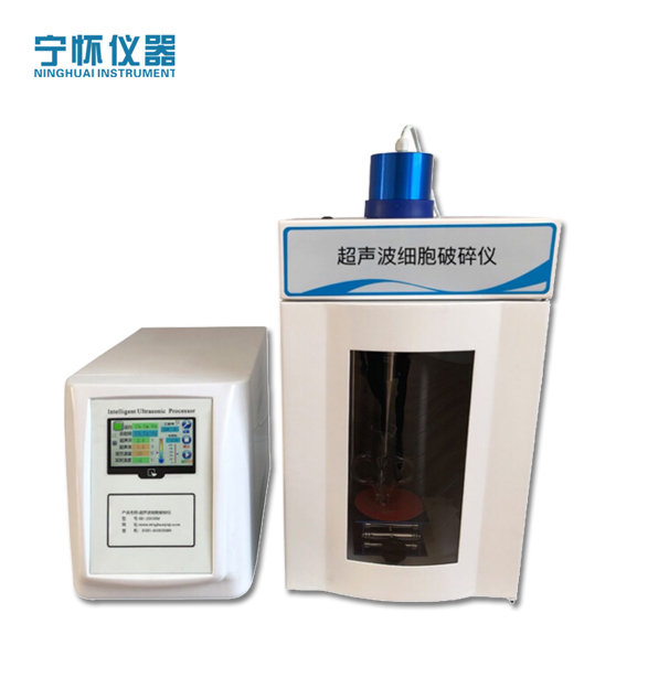 ������������x