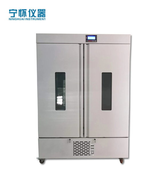 �͜������˹������